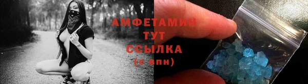 сатива Ростов