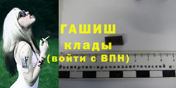 сатива Ростов