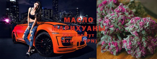 сатива Ростов