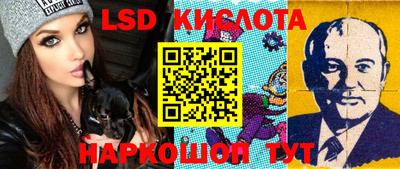 индика Кулебаки