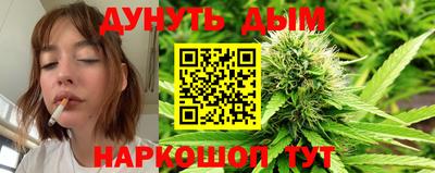 индика Кулебаки