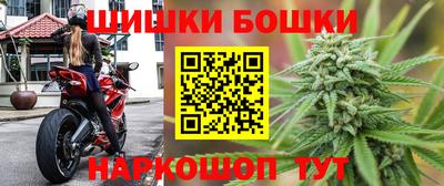 индика Кулебаки
