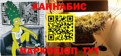 шишки Абакан