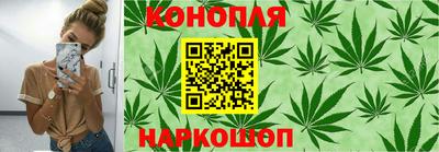 шишки Абакан