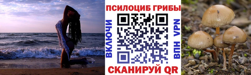Галлюциногенные грибы мицелий  Рославль 