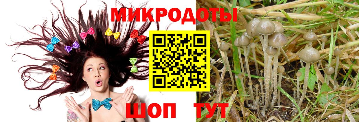 Рославль  Галлюциногенные грибы GOLDEN TEACHER  Галлюциногенные грибы GOLDEN TEACHER  Вход с VPN 