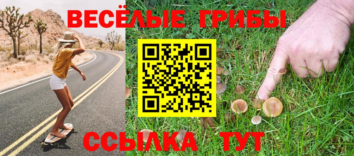 Галлюциногенные грибы MAGIC MUSHROOMS Рославль